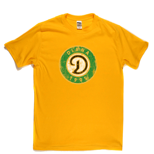 SC Diana Kattowitz Regular T-Shirt